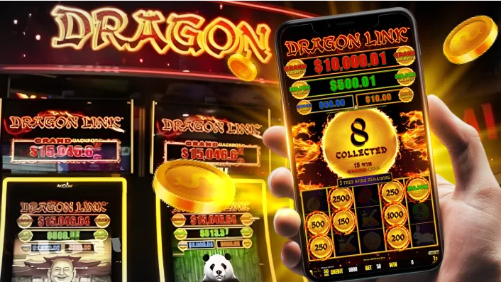Themed Bingo Fun Experience